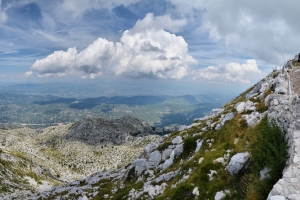 dsc_8202-panorama
